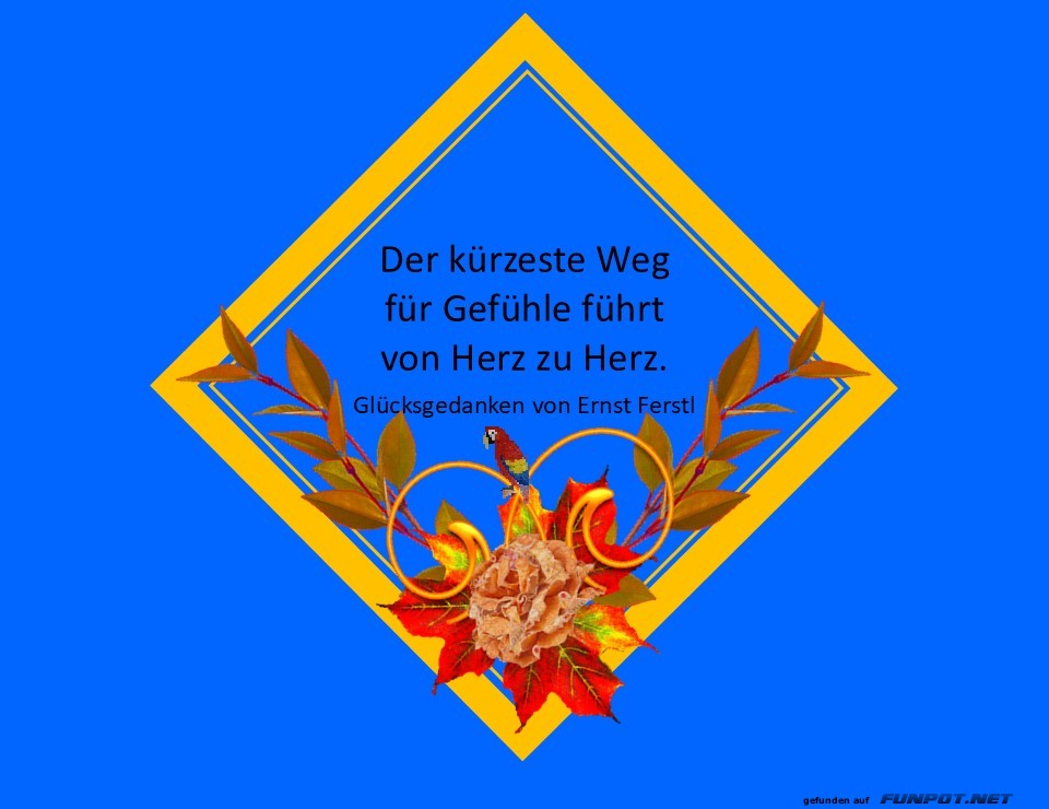 Der kürzeste Weg