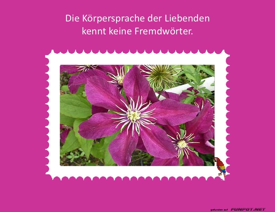 Die Körpersprache