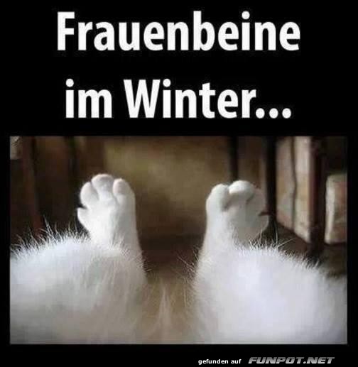 Winterbeine auf Kuschelkurs!