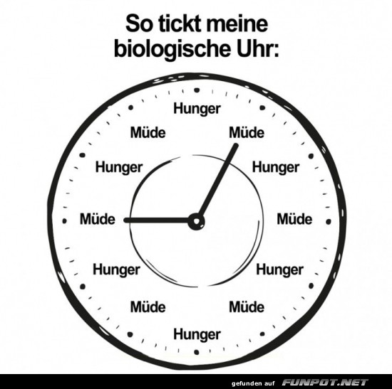 Biologische Uhr: Müde oder hungrig? Biologische Uhr: Müde oder hungrig?