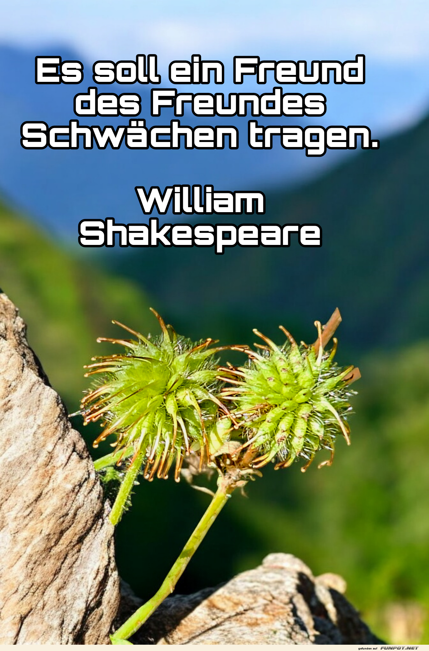es soll ein freund es soll ein freund