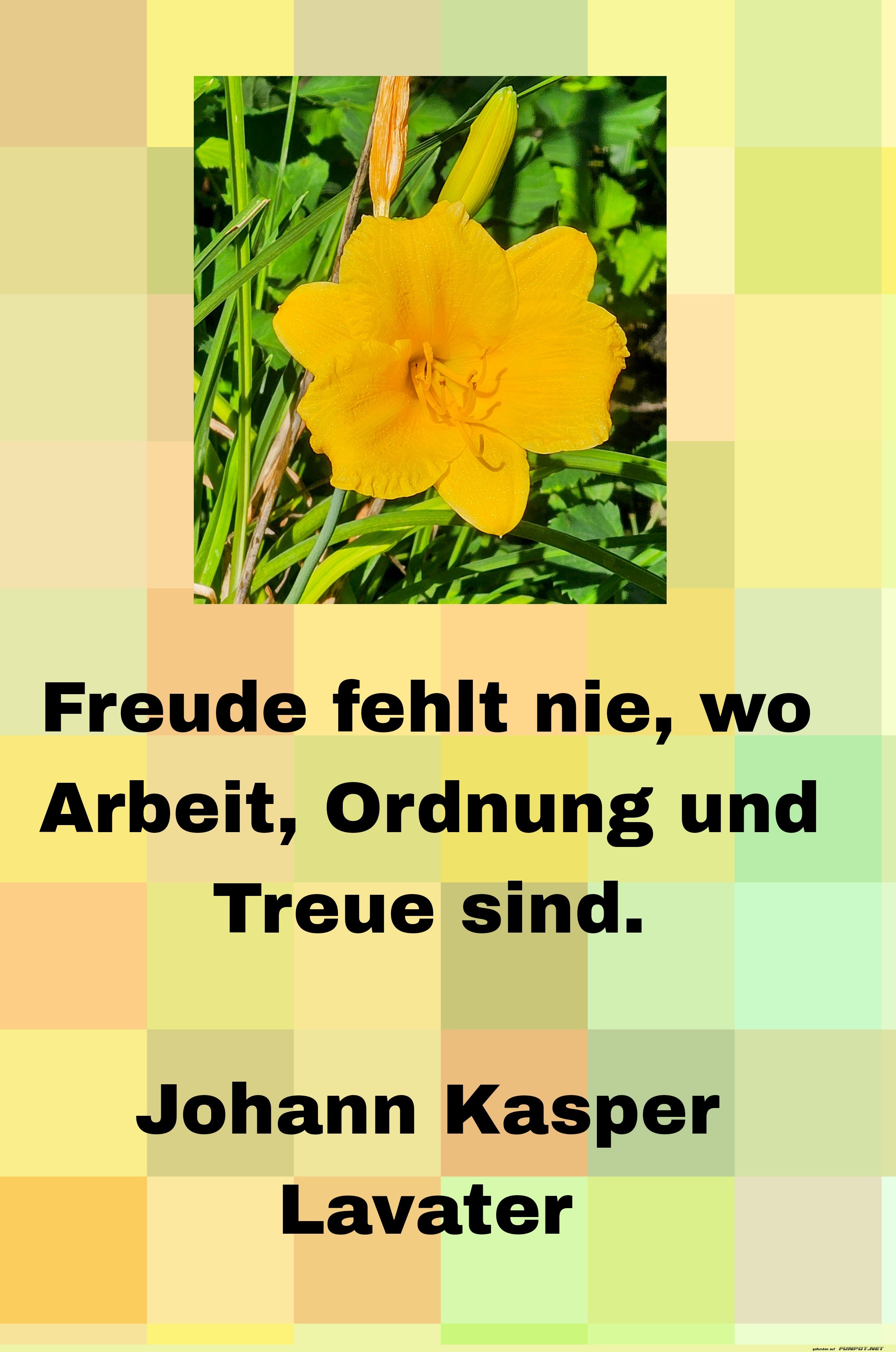 freude fehlt nie freude fehlt nie