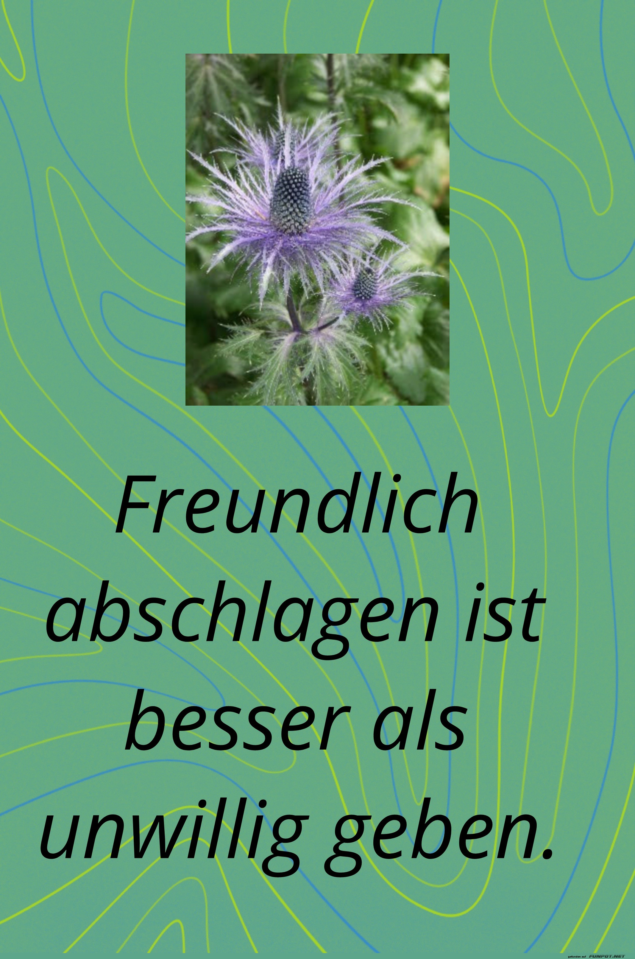 freundlich abschlagen freundlich abschlagen