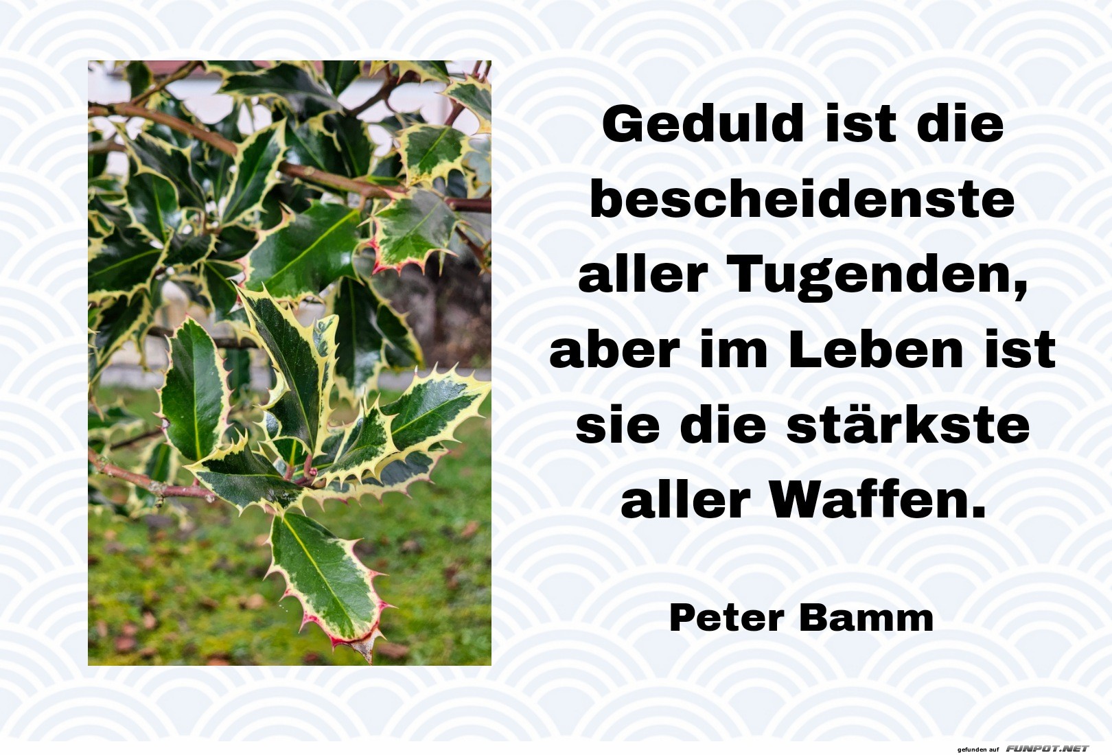 geduld ist die bescheidenste geduld ist die bescheidenste