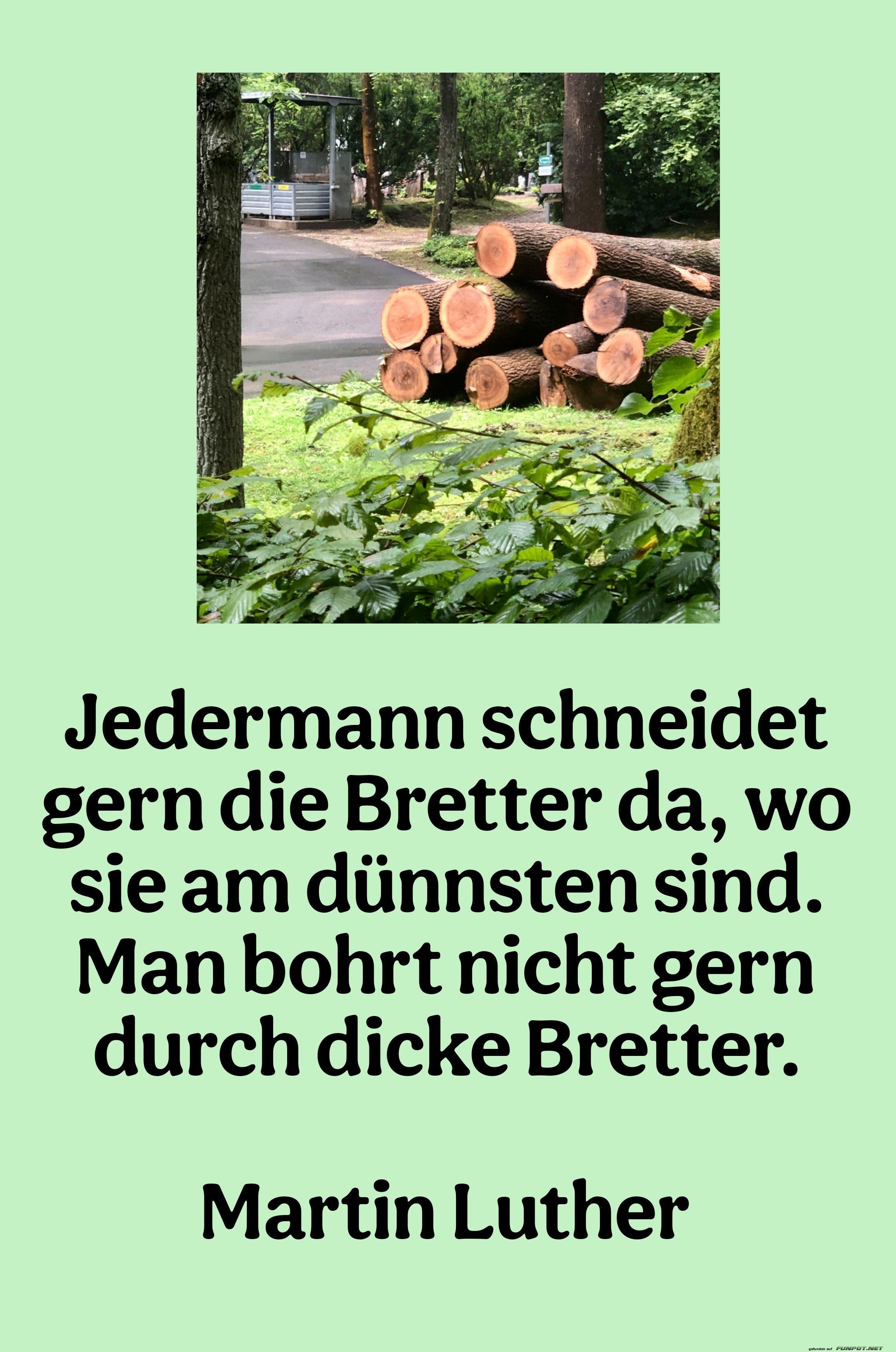 jedermann schneidet gern jedermann schneidet gern