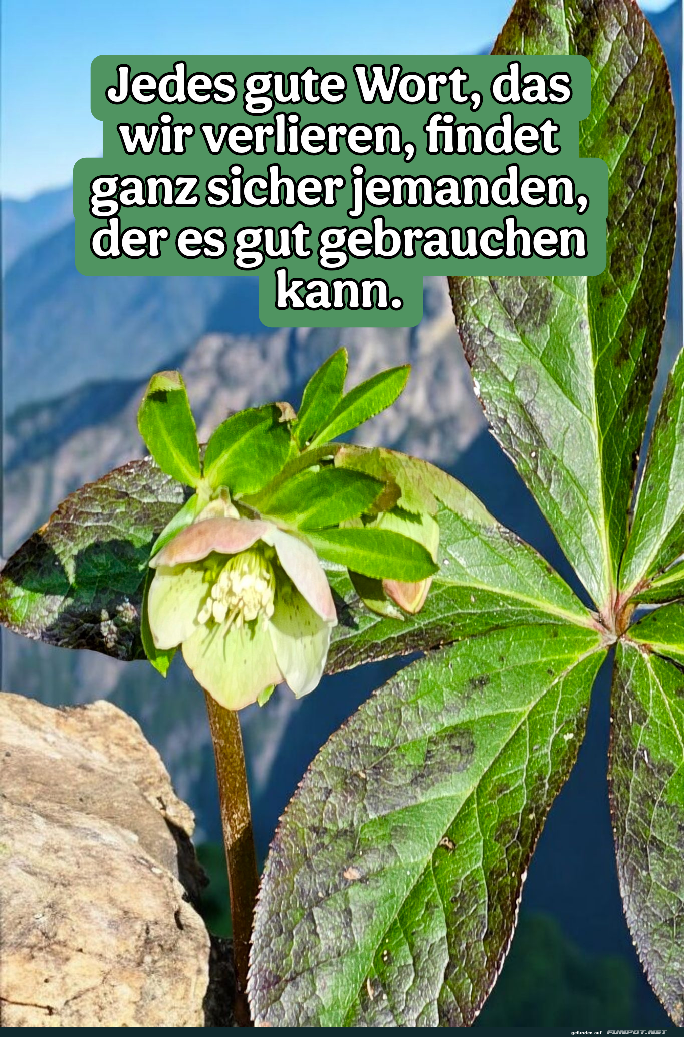 jedes gute wort jedes gute wort
