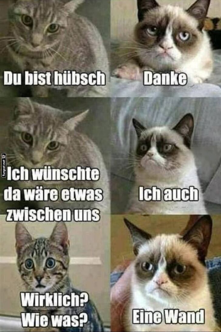 Die unerwartete Liebesmauer Die unerwartete Liebesmauer