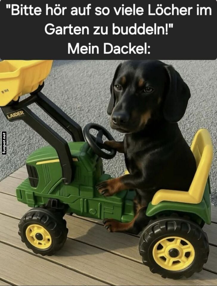 Bagger-Dackel in Aktion! Bagger-Dackel in Aktion!