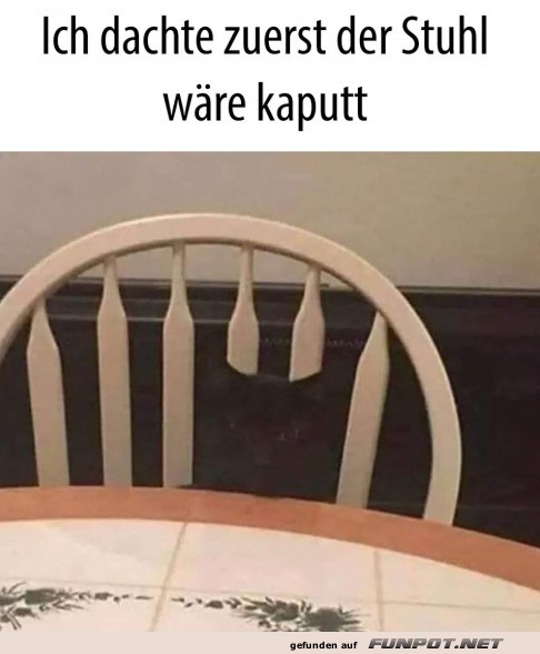 Optische Täuschung: Stuhl oder Kunstwerk?