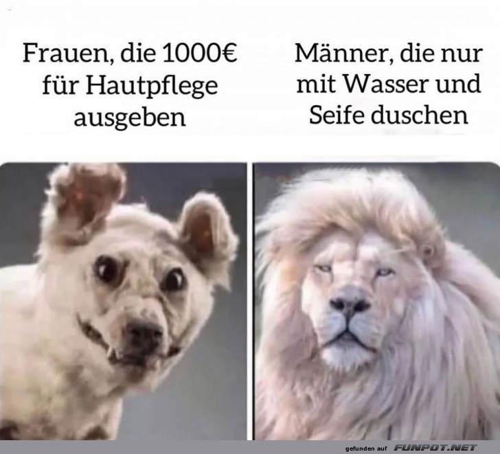 Hautpflege: Ein Königreich für Seife!