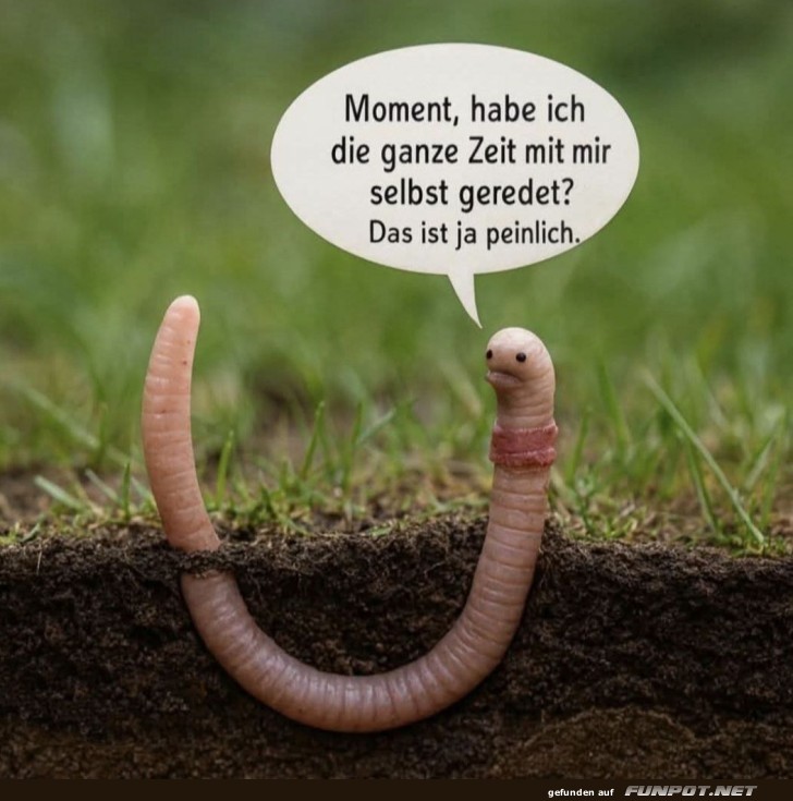 Der selbstgesprächeführende Regenwurm