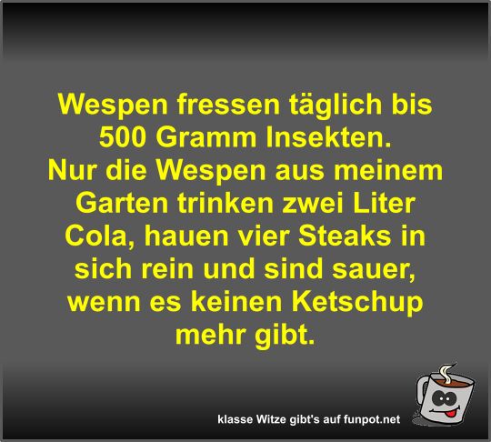 Wespen fressen täglich bis 500 Gramm Insekten Wespen fressen täglich bis 500 Gramm Insekten