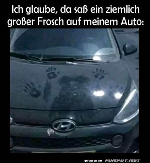 Monsterfrosch auf dem Autodach gesichtet!