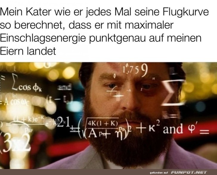 Kater's Flugschule fr Przisionslandungen