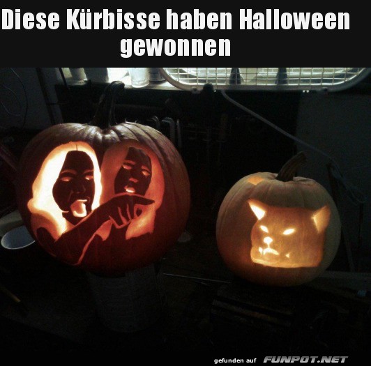 Kürbis-Meisterwerke der Extraklasse!