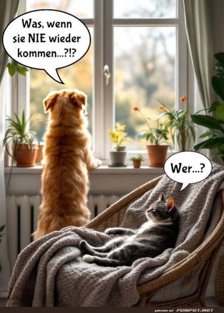 Die Existenzkrise eines Hundes Die Existenzkrise eines Hundes