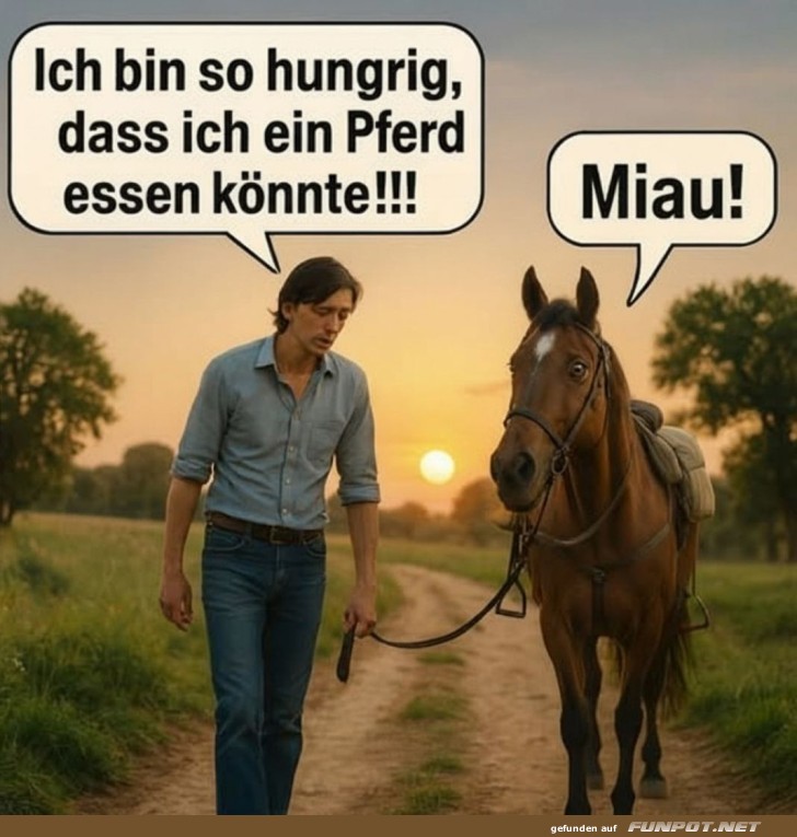 Wenn das Pferd Katzenjammer hat!