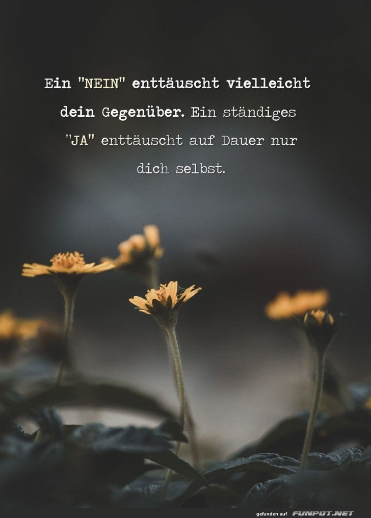 Sag 'Nein' zu häufiger Zustimmung! Sag 'Nein' zu häufiger Zustimmung!