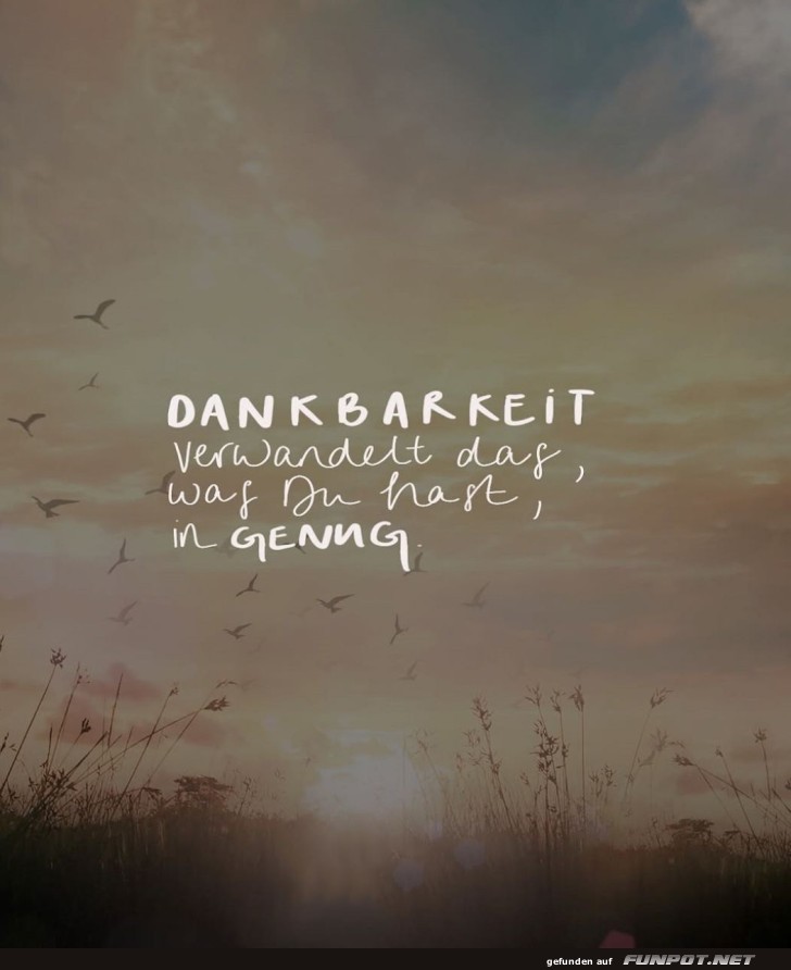 Wenn Dankbarkeit ein Sonnenuntergang wre