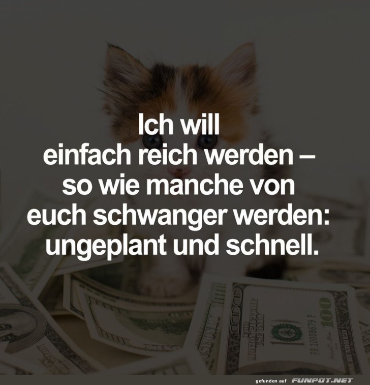 Katzen und Cash: Ein unerwarteter Reichtum! Katzen und Cash: Ein unerwarteter Reichtum!