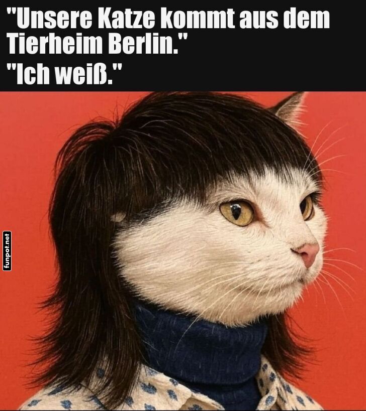 Berliner Trendsetter auf Samtpfoten