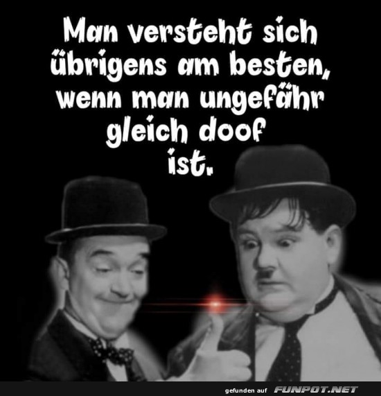 Humorvolle Harmonie unter Doofkpfen!