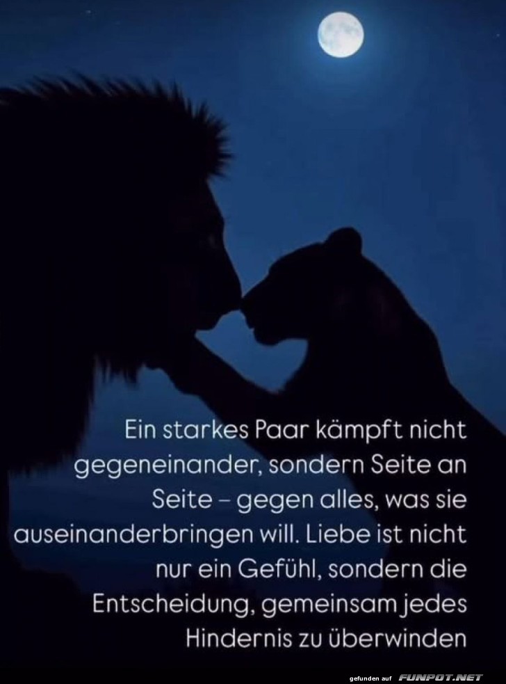 Mondschein-Romantik: Lwe ksst Panther