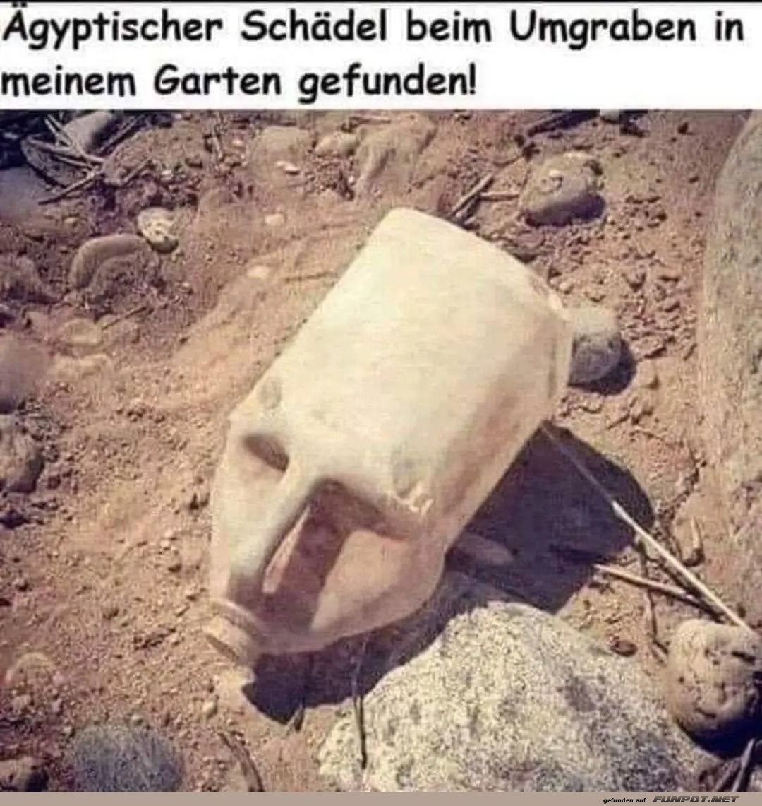 Archologischer Schatz im Hinterhof entdeckt!