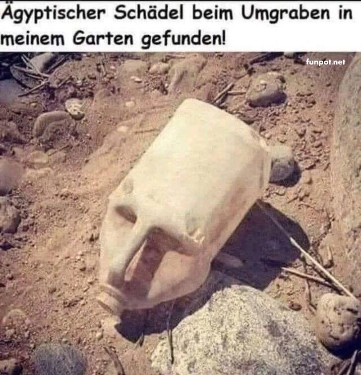 Archologischer Schatz im Hinterhof entdeckt!