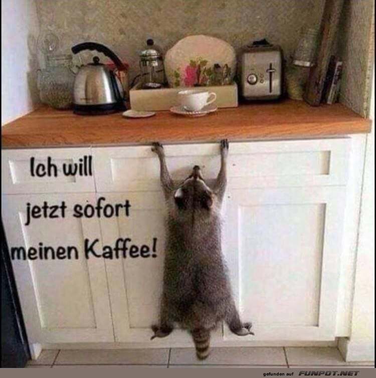 Her mit dem Kaffee