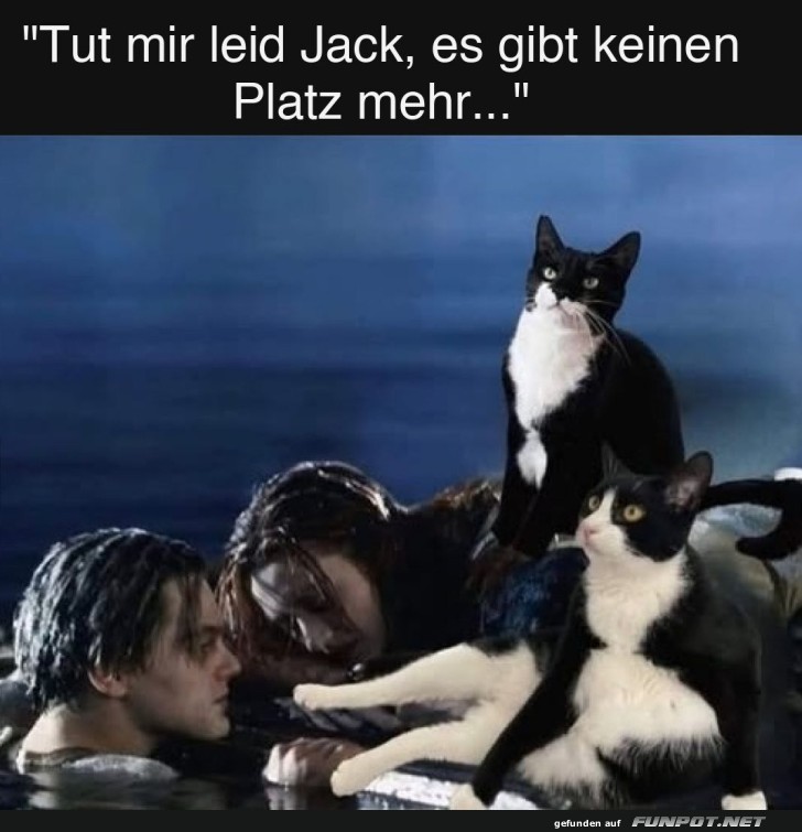 Titanic: Katzenedition ohne extra Raum