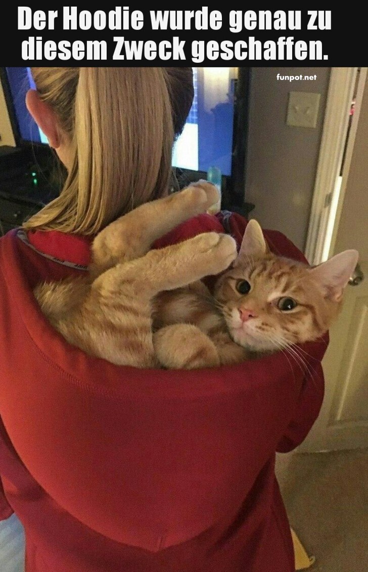 Katzentasche Deluxe: Jetzt mit Kuschelfaktor!