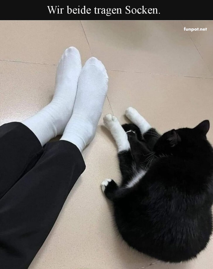 Sockenfreunde fürs Leben!