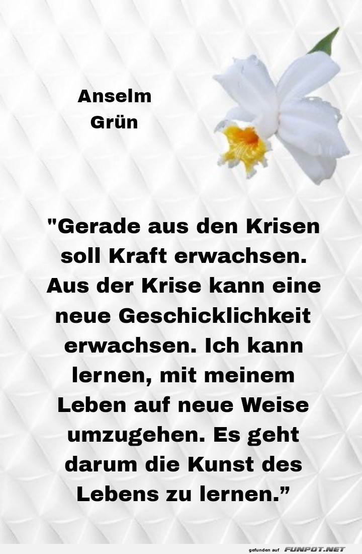 gerade aus den krisen