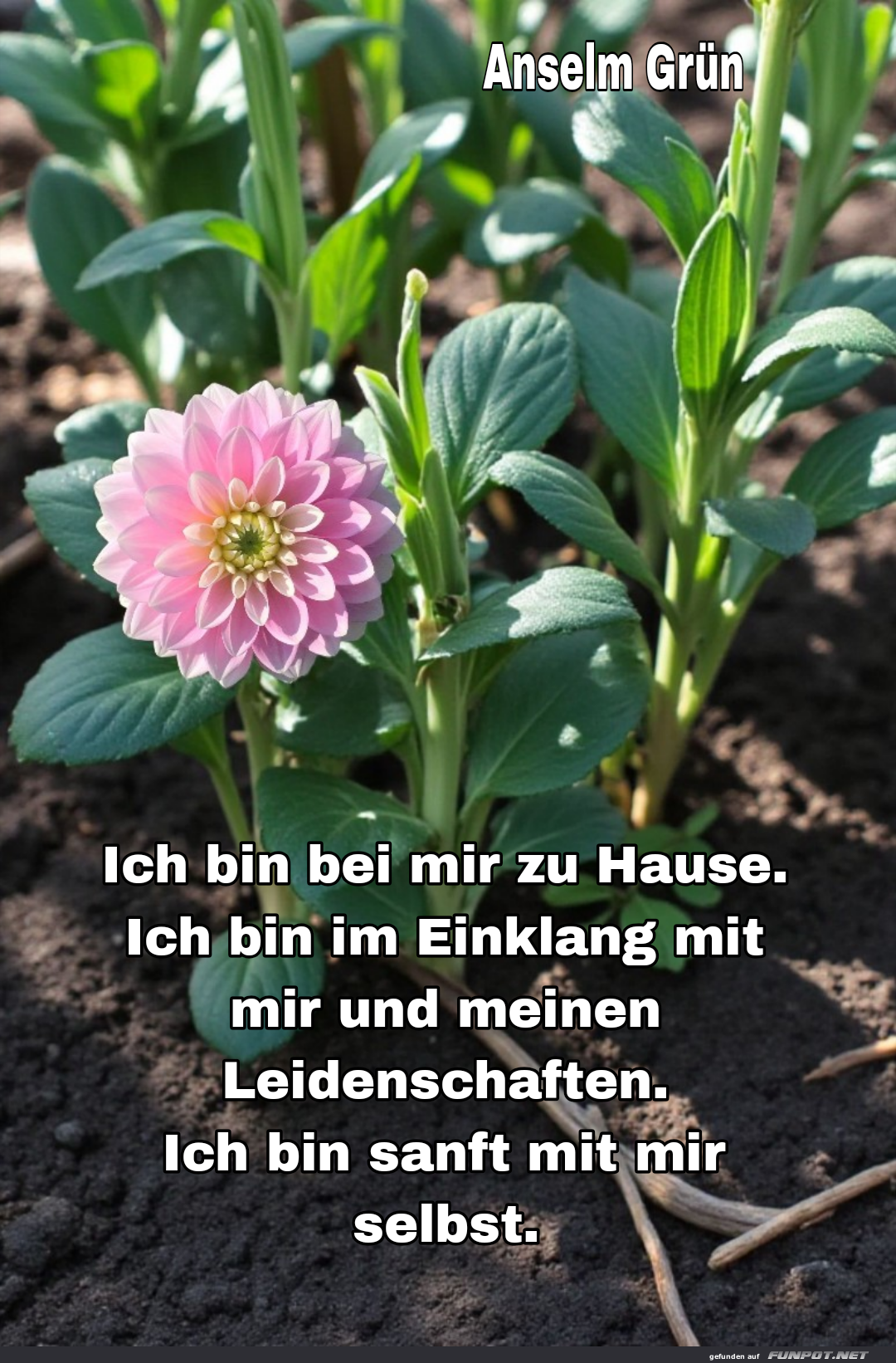 ich bin bei mir zu hause