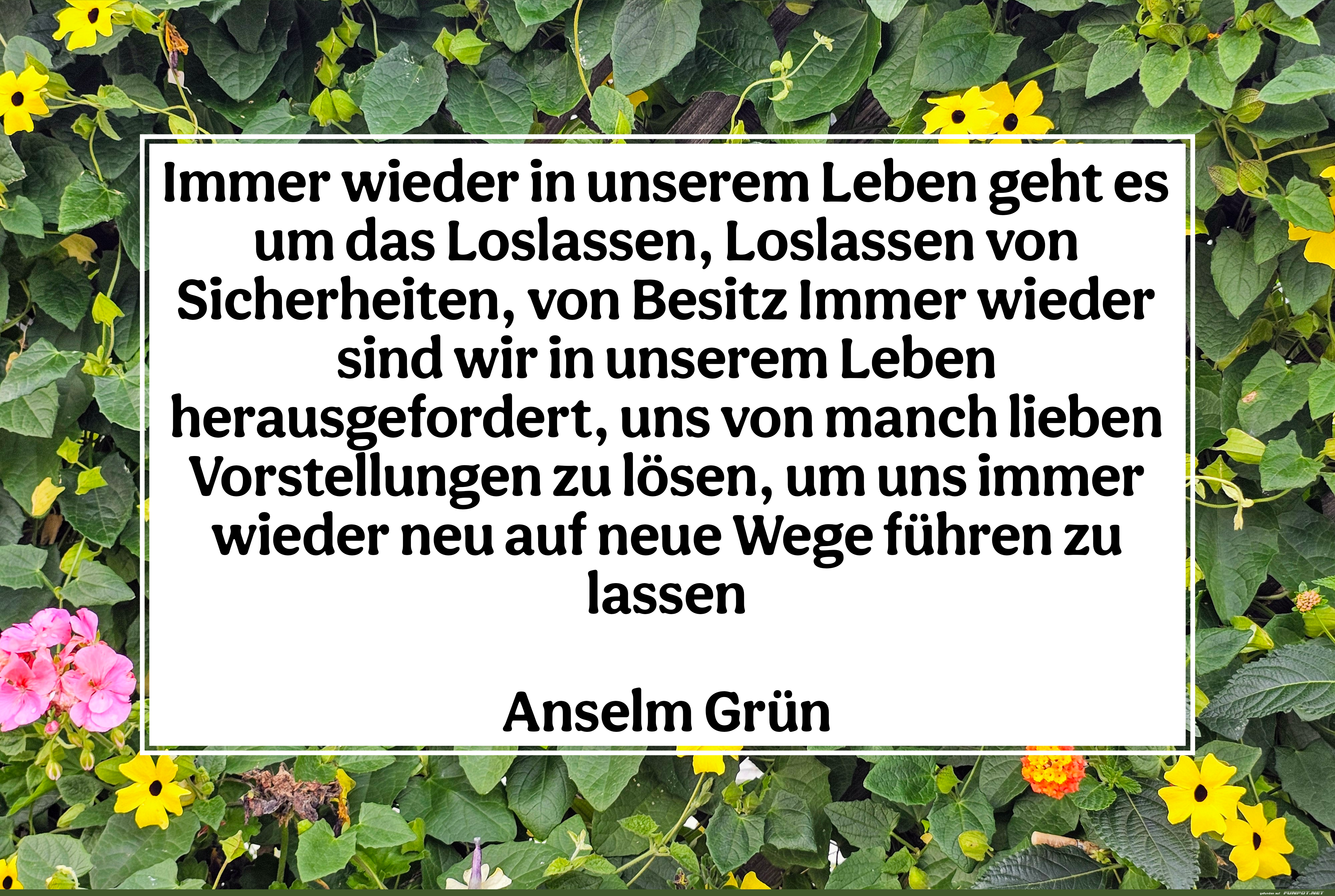 immer wieder in unserem leben