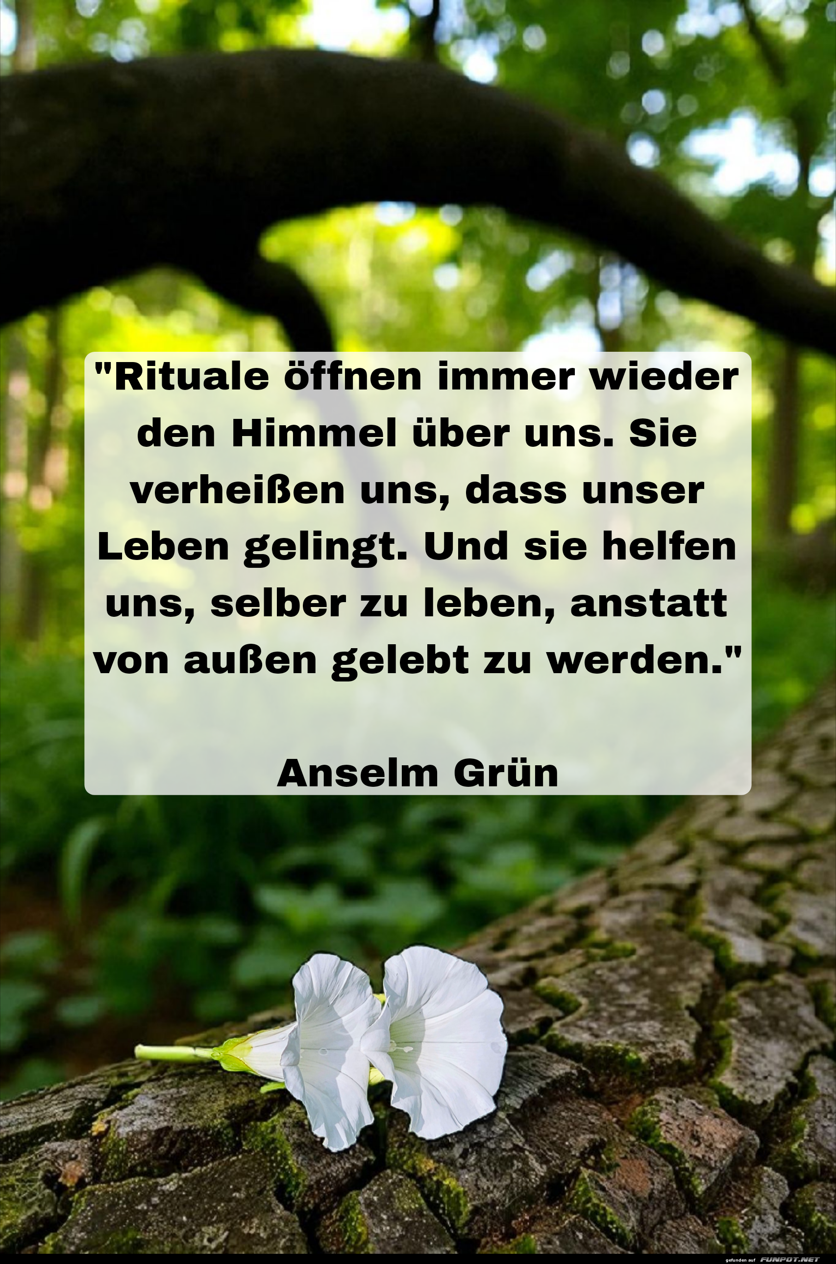 rituale öffnen immer wieder