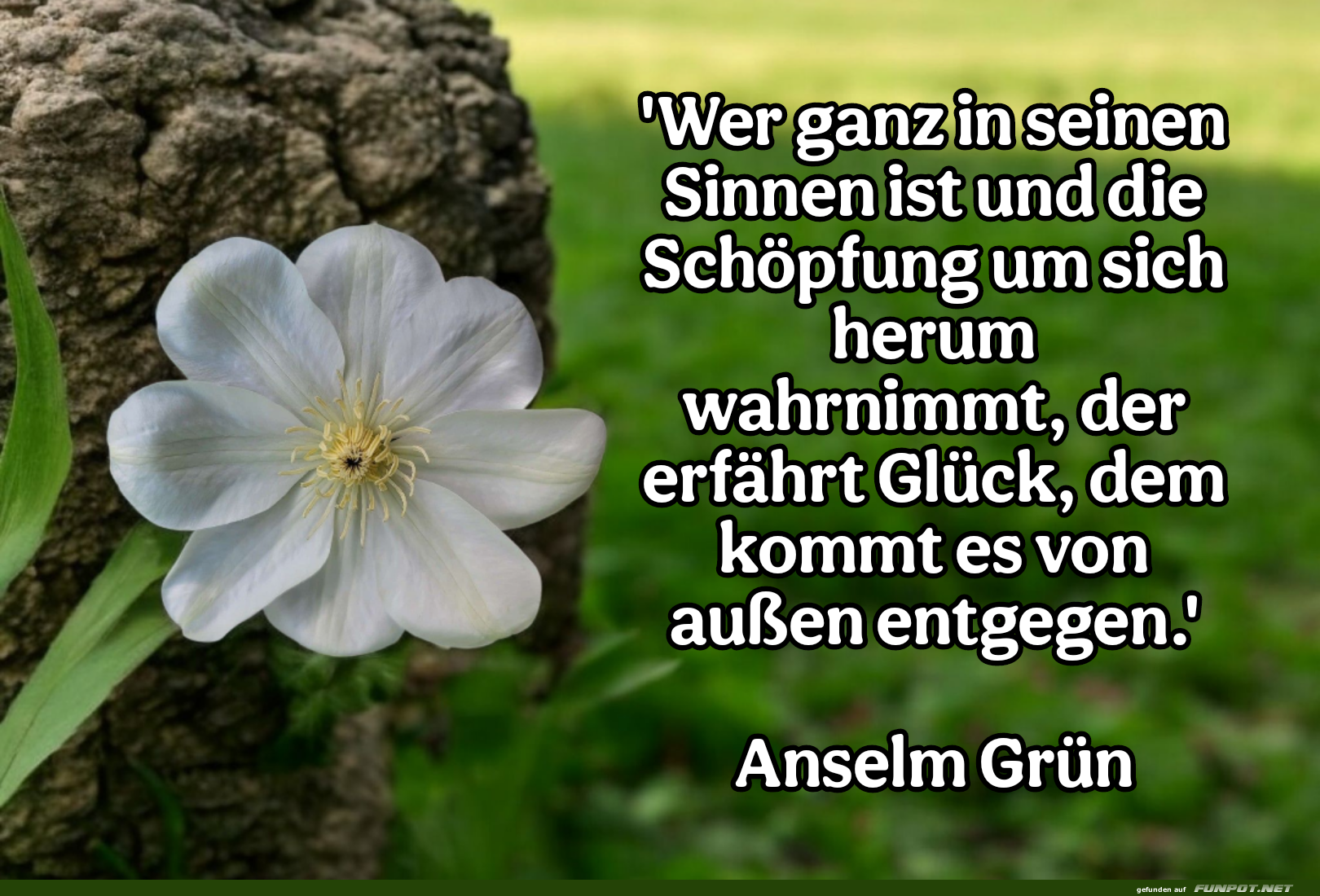 wer ganz in seinen sinnen