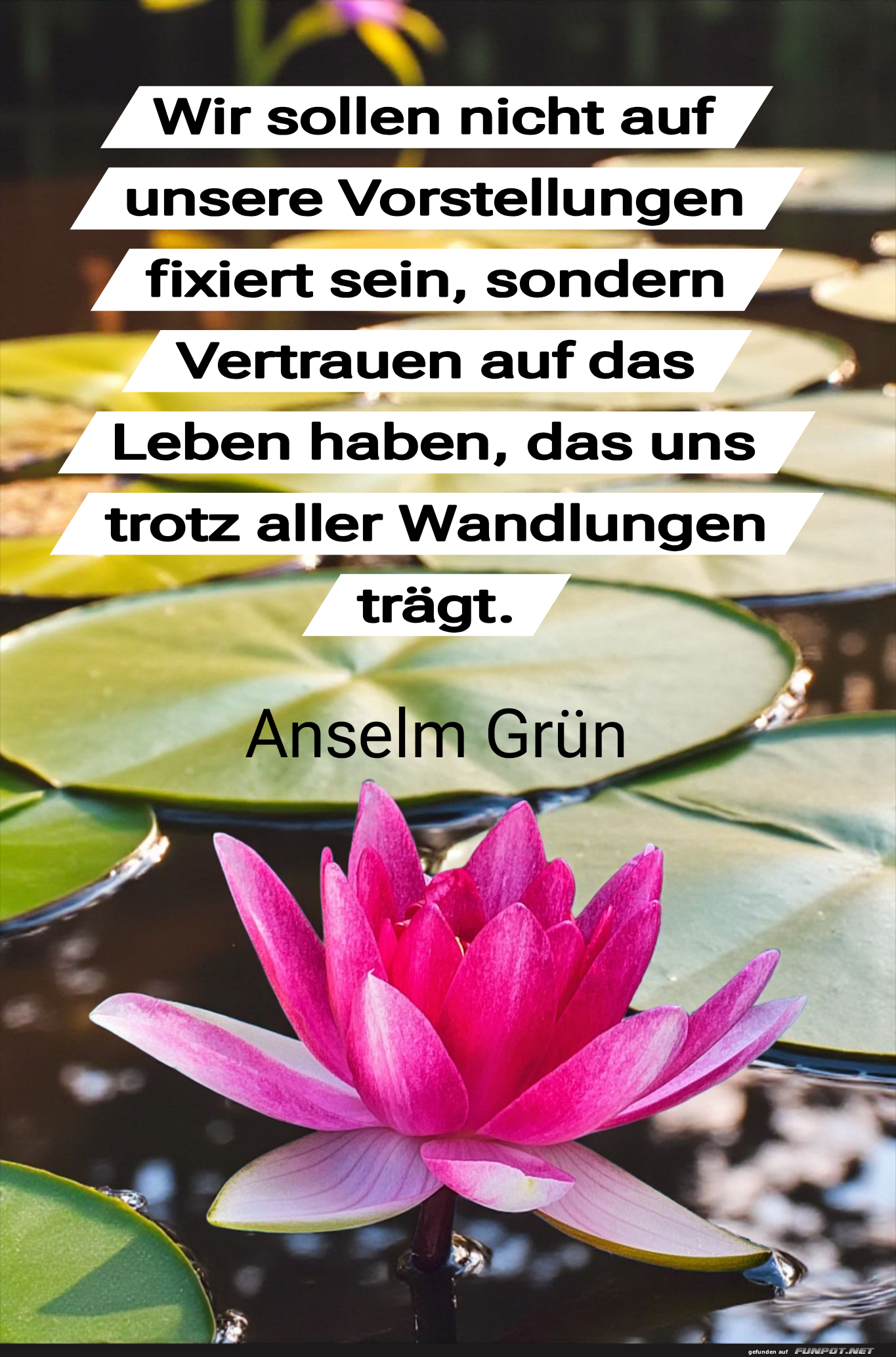 wir sollen nicht auf unsere vorstellungen