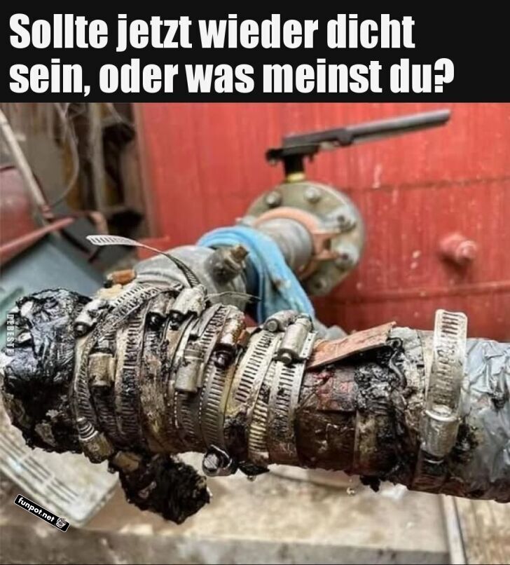 DIY Rohrreparatur: Nailed It!