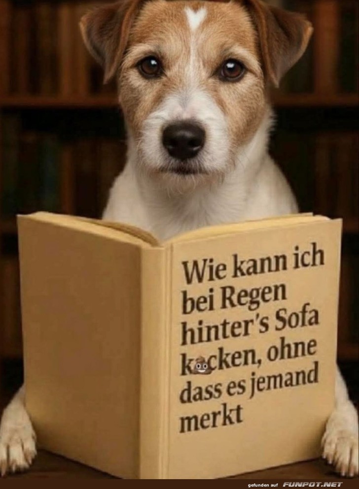 Cleverer Hund plant geheime Gartenmission