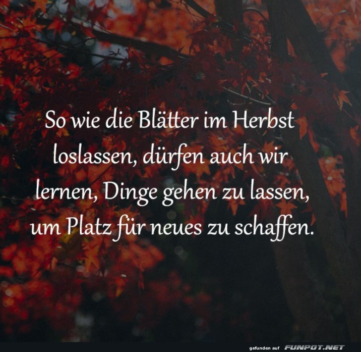 Bltter lassen's locker!