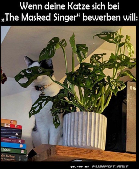 Katzen-Casting bei 'The Masked Singer'