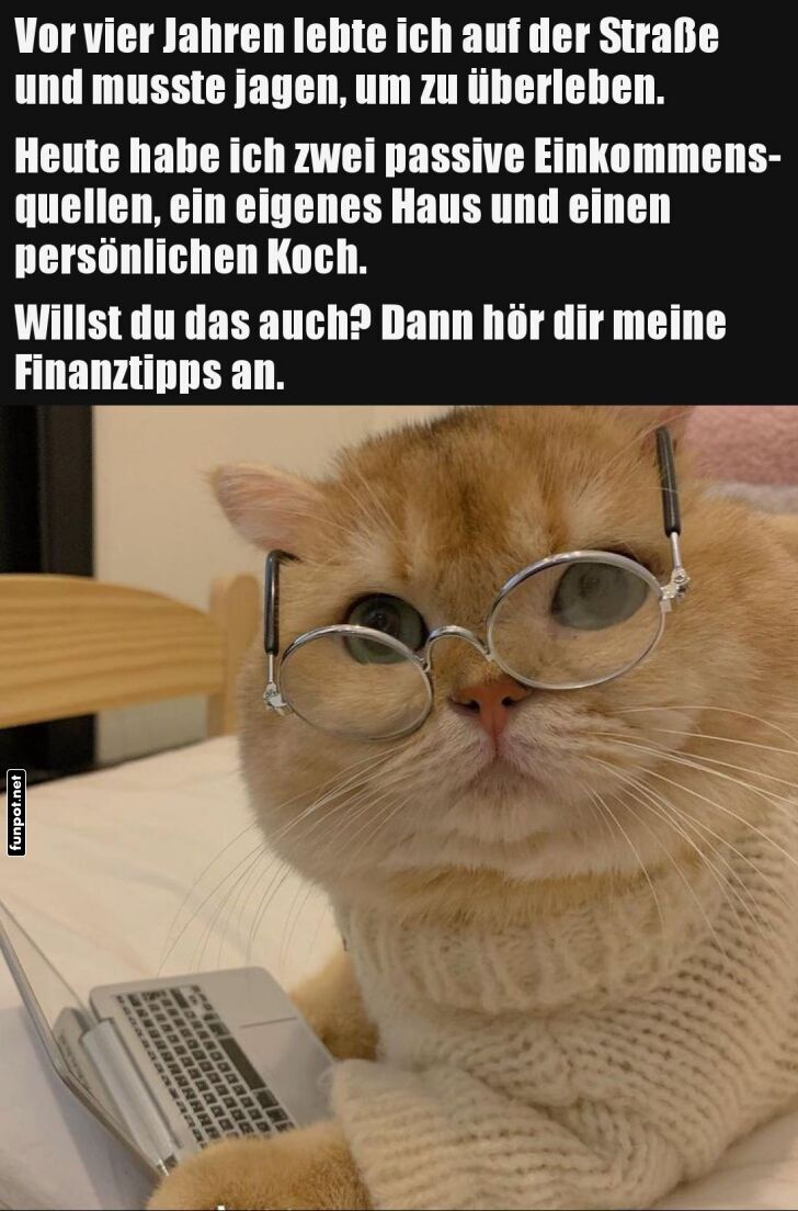 Vom Straßenkater zum Finanzguru in 4 Jahren! Vom Straßenkater zum Finanzguru in 4 Jahren!
