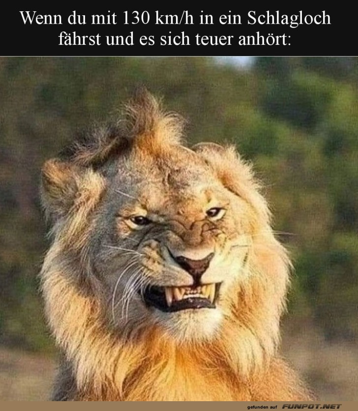 Wenn das Schlagloch zuschlägt