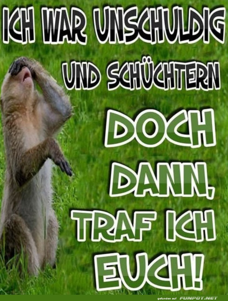 Schüchterner Affe auf Abwegen