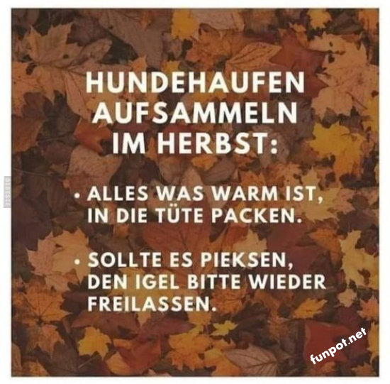 Herbstsammler-Missgeschicke Herbstsammler-Missgeschicke