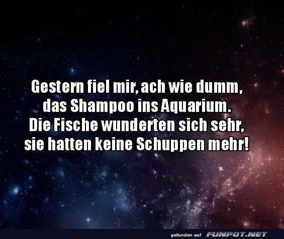 Schuppenfreie Fische im Aquarium