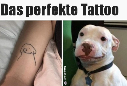 Wenn dein Hund der Tattoo-Künstler ist!