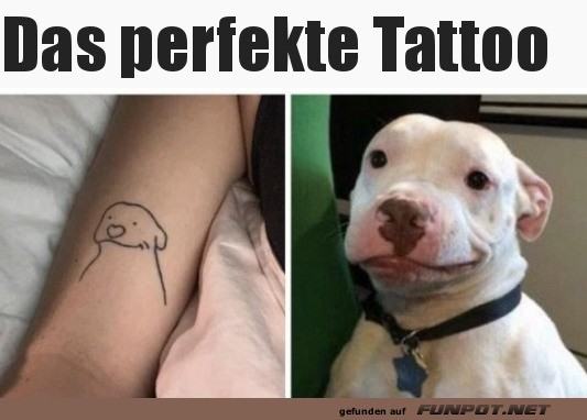 Wenn dein Hund der Tattoo-Knstler ist!